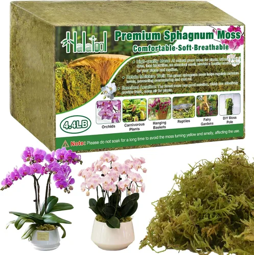 Miniatura 9 de Halatool Musgo de bosque verde de 1.1 libras, musgo esfagnum natural de 25 cuartos para plantas, musgo de orquídea esponjoso para trasplante