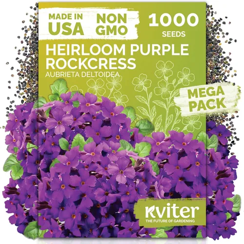 Miniatura 56 de KVITER 1600 semillas de pensamiento de los gigantes suizos para plantar (Viola wittrockiana) - Paquetes de semillas de colores mixtos Flores