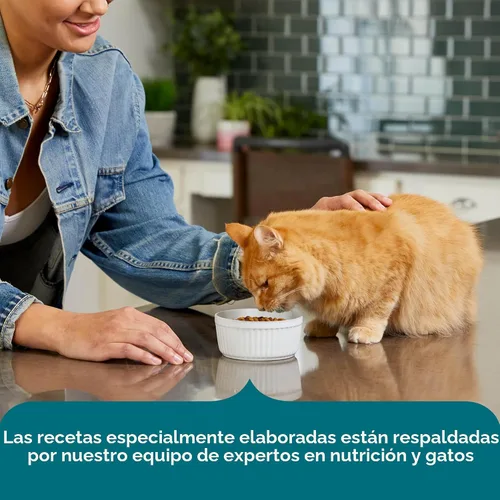 Miniatura 6 de Nutrish Comida seca para gatos con receta de salmón real y arroz integral, bolsa de 14 libras, el embalaje puede variar (Rachael Ray)