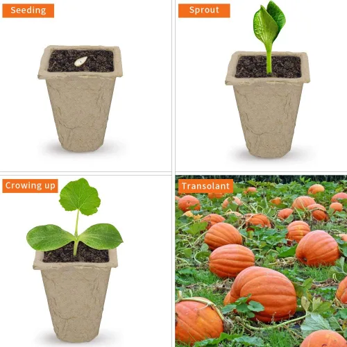 Miniatura 6 de Paquete de 10 bandejas de iniciación de semillas, 120 celdas de germinación orgánica, bandejas de semillas de germinación orgánica, kit de cultivo
