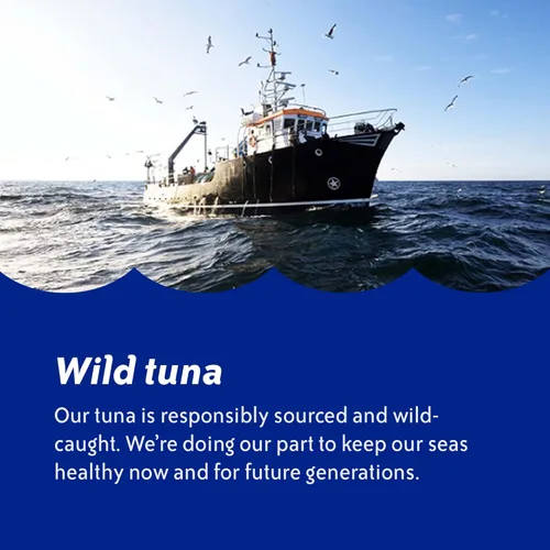 Miniatura 7 de Chicken of the Sea Atún ligero capturado en agua de manantial, paquetes de 2.5 onzas, 12 unidades, atún alto en proteínas 100% en agua, comidas