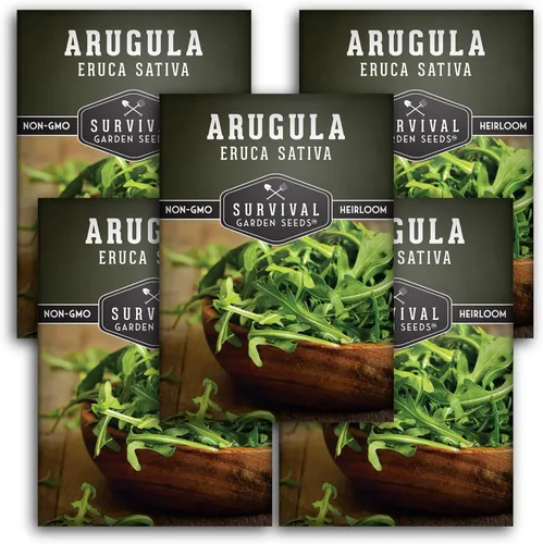 Miniatura 11 de Survival Garden Seeds - Semillas de rúcula para plantar - 2 paquetes con instrucciones para cultivar verduras de hoja verde cohete de jardín en tu