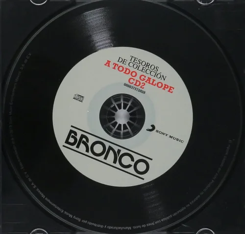 Miniatura 4 de TESOROS DE COLECCION "BRONCO" AMIGO & ATODO GALOPE & PURA SANGRE