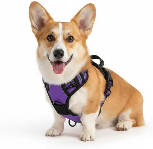Miniatura 7 de Arnés para perro sin tirones, chaleco táctico verde XL, arnés extra grande de nailon 900D resistente con asas de fácil control, chaleco acolchado