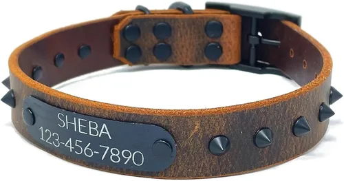 Miniatura 7 de Personalized Spiked Bridle Leather Dog Collar, Engraved Matte Black Metal Nameplate (Mustard Yellow)