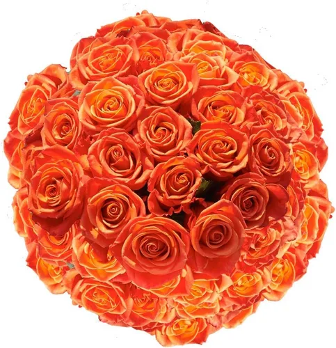 Miniatura 11 de GlobalRose Ramo de 100 Rosas Melocotón - Rosas de Origen Responsable Flores Frescas - Ramo Fresco de Flores Seleccionadas a Mano para Graduación