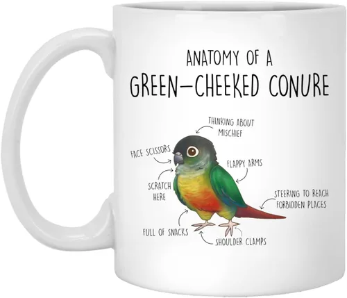 Taza de café de mejillas conure, lindo regalo de loro para mascotas, amante de los pájaros, regalo divertido para ella, él, taza de mejilla verde,
