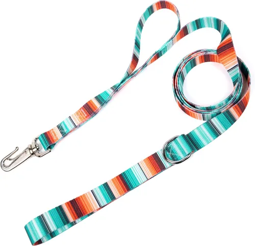 Miniatura 21 de Country Brook Design® Correa para perro Native Arizona de 1 pulgada - 6 pies Arizona nativa