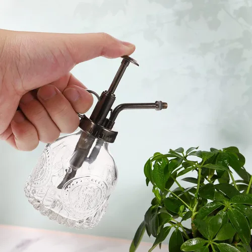 Miniatura 9 de GANAZONO Pequeña regadera botella de spray de vidrio para botella de riego de terrario Diseño vintage de vidrio