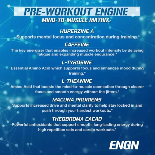 Miniatura 4 de EVL Intense Pre Workout con creatina - ENGN bebida en polvo energizante preentrenamiento para hombres para energía duradera, enfoque y recuperación