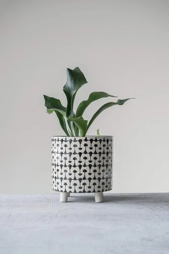 Miniatura 2 de Creative Co-Op - Macetas redondas de gres con estampados geométricos, blanco y negro