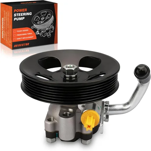 Bomba de dirección asistida 21-667, 2001-2006 para Hyundai Santa Fe, 2.7L