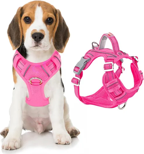 Miniatura 16 de BARKBAY Arnés para perro sin tirones con bolsillo para etiqueta de identificación, resistente, reflectante, fácil control para perros grandes