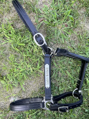 Miniatura 3 de Leaders - Cabestro de cuero para caballos con placa de nombre grabada personalizada, cabestro para caballo, negro/plateado