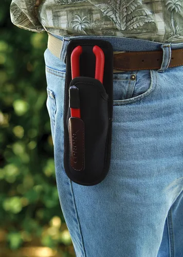 Miniatura 2 de Corona AC 4510 Scabbard