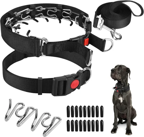 Miniatura 9 de Collar de entrenamiento de puntas con puntas cómodas y hebilla de cierre rápido – Collar de pellizco para perro con cubierta de nailon
