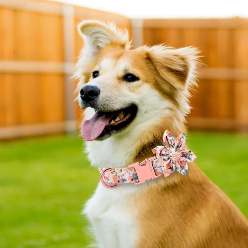 Miniatura 2 de DALUZ - Collares de perro para cachorros, pequeños, medianos y grandes, suaves y cómodos, ajustable, con hebilla de seguridad, flor desmontable, 3