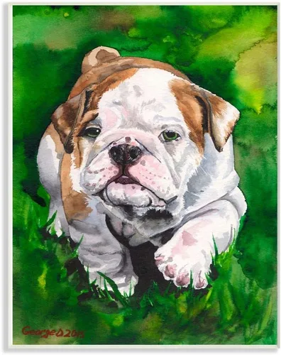 Stupell Industries Placa de pared con diseño de acuarela, diseño de bulldog inglés, cachorro, perro, mascota, animal, 10 x 15, multicolor