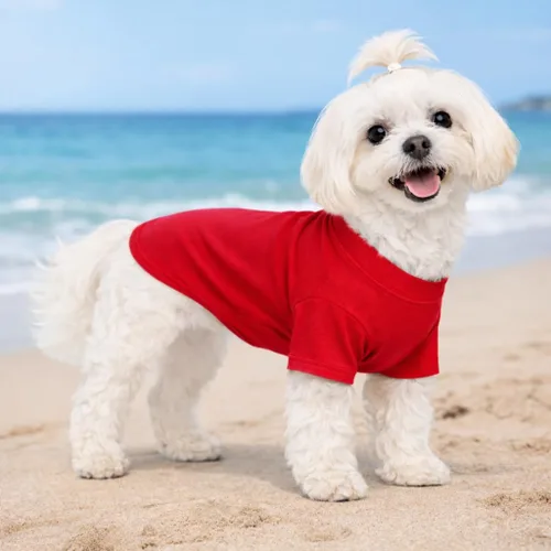 Miniatura 7 de Lovelonglong Ropa para Mascotas Disfraces para Perro Ropa para Perros Salchicha Camiseta en Blanco Camisetas para Perros Salchicha, Corgi 100% Rojo