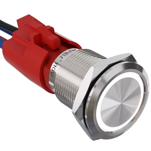 Miniatura 10 de APIELE 110V-220V 19mm interruptor de botón de cierre 10 Amp SPST LED Impermeable Redondo autobloqueante 1NO (Negro Aluminio, Azul)