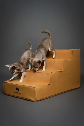 Miniatura 6 de Noah & Paw Escaleras para Perros, Rampa para Perros para Cama (17" Extra Ancha) Escaleras para Mascotas para Cama Alta, Diseñadas para Razas