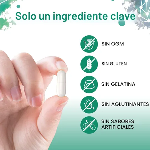 Miniatura 6 de Sambugra Suplementos de TUDCA para el Hígado 1100mg, Suplemento de Sal Biliar TUDCA de Fuerza Ultra Testado por Terceros, Apoyo Hepático