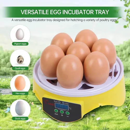 Miniatura 2 de Mini incubadora de huevos de 7 huevos con vista de 360°, kit educativo para eclosionar para niños, aulas y familias, control automático