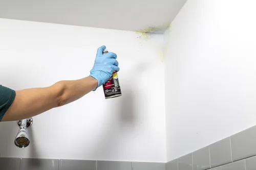 Miniatura 2 de Rust-Oleum Zinsser 287512 - Base en aerosol con bloqueo de moldeo, 13 onzas, color blanco