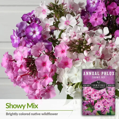 Miniatura 3 de Survival Garden Seeds - Showy Mix anual Phlox Seed para plantar - Paquete con instrucciones para plantar y cultivar hermosas flores silvestres