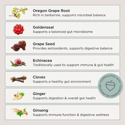 Miniatura 3 de Zuma Nutrition Candida Cleanse Tonic - Candida Support & Candida Cleanse Detox con uva Oregon, sello de oro y equinácea - Suplemento herbario