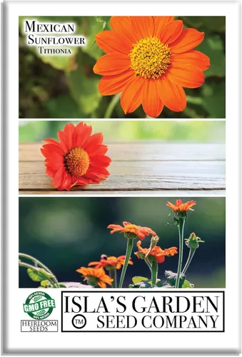 Semillas de girasol mexicanas (Goldfinger/Torch) – Más de 100 semillas tradicionales sin OMG de Isla's Garden Seeds, imán polinizador vibrante,