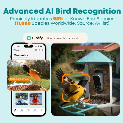 Miniatura 3 de NETVUE by Birdfy - Comedero inteligente para pájaros con cámara AI 2K, captura automática de videos y detección de movimiento, transmisión en vivo