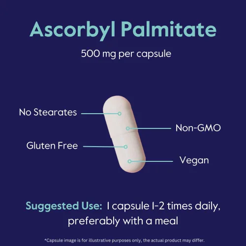 Miniatura 6 de BESTVITE Palmitato de ascorbilo 500 mg (120 cápsulas vegetarianas) - Sin estearatos - Sin rellenos - Sin agentes de flujo