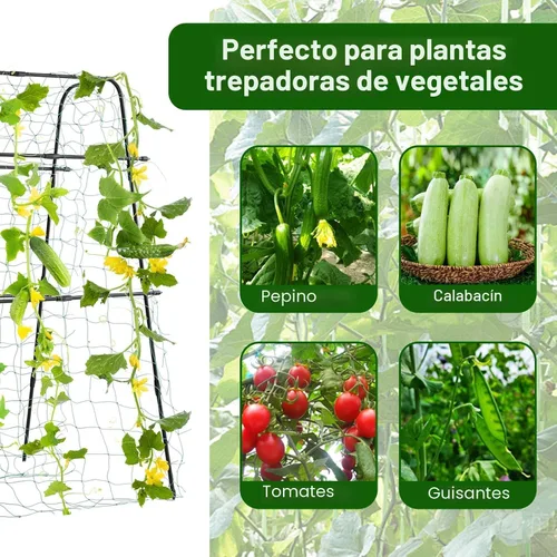 Miniatura 3 de Enrejado de jardín para plantas trepadoras al aire libre, enrejado de pepino de metal para plantas al aire libre, verduras, frutas, flores, vides