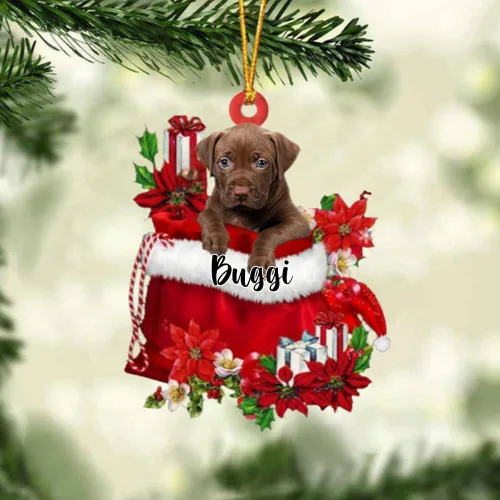 Miniatura 66 de Perro Akita Inu personalizado en bolsa de regalo, adorno de Navidad, nombre personalizado, regalo para amantes de los perros, familia, Navidad