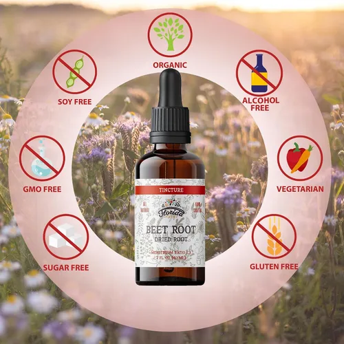 Miniatura 4 de Suplemento de raíz de remolacha – Absorción extra rápida de remolacha líquida – Extracto orgánico de tintura de raíz de remolacha, sin gluten, 2