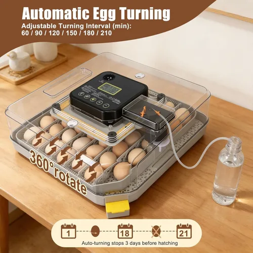 Miniatura 3 de ZEMIRO CHARGE 48 Incubadora de huevos para incubar huevos de gallina, pato, codorniz y loro, con giro automático de huevos y control de humedad
