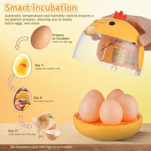 Miniatura 3 de Abaodam Incubadoras para incubar huevos, pequeña incubadora de huevos de pollo con control automático de temperatura y vista de 360°, criador