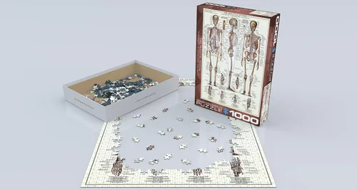 Miniatura 3 de EuroGraphics Sistema esquelético (gráfico) rompecabezas (1000 piezas) (6000-3970), marrón