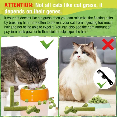 Miniatura 6 de Palitos de hierba para gatos de 50g para dentición, palitos de hierba para gatos deshidratados por congelación como snacks para gatos, golosinas