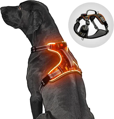 Miniatura 12 de Arnés para perro con luz LED para caminar de forma segura por la noche, chaleco de malla suave que brilla en la oscuridad, chaleco para perros