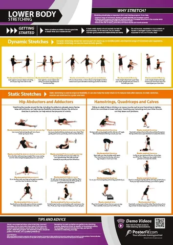 Miniatura 10 de Póster de gimnasio para grupos musculares y ejercicios, laminado, EXTRAGRANDE 33" x 23.5", tabla de pared de gimnasio y fitness en casa, incluye