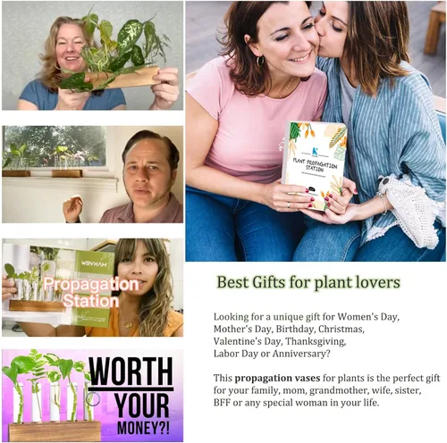 Miniatura 4 de KAXYEW - Estación de propagación de plantas, tubos de propagación de plantas, regalos para amantes de las plantas, soporte de tubo de ensayo, jarrón