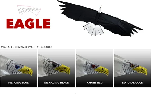 Miniatura 2 de Revolution Kites 3D Eagle Quad-Line Stunt Wing de 8 pies (novicios a profesionales) - Diseño de fibra de carbono ultraligero - Lanzamiento desde