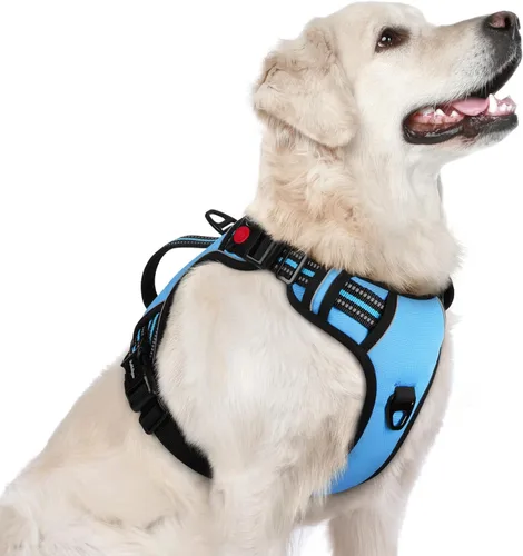 Miniatura 10 de rabbitgoo Arnés para perro de tamaño pequeño, arnés para mascotas sin tirones con mango acolchado suave, chaleco reflectante ajustable con 3