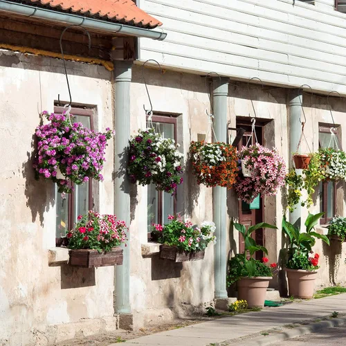 Miniatura 7 de Ripeng 12 ganchos grandes en forma de S de 12 pulgadas, resistentes a prueba de óxido, gancho de acero inoxidable para ramas de árbol de jardín