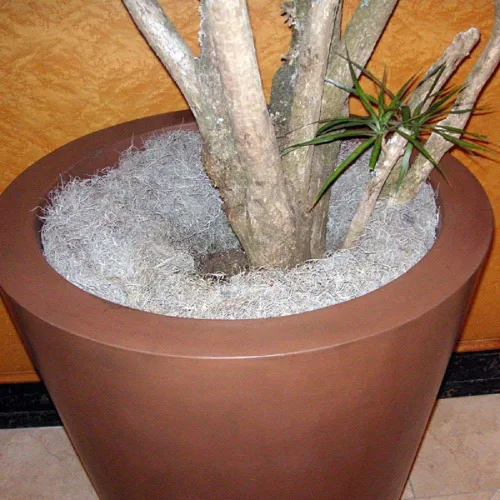 Miniatura 6 de Mosser Lee Musgo español – Musgo decorativo natural para plantas de interior, cubierta de tierra, manualidades, terrarios y arreglos florales - 2.4