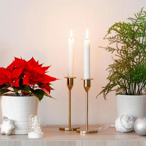 Miniatura 5 de WANDIC 1 molde para velas, moldes cilíndricos de plástico transparente, velas de mesa de emergencia para iglesia, Navidad, día de San Valentín