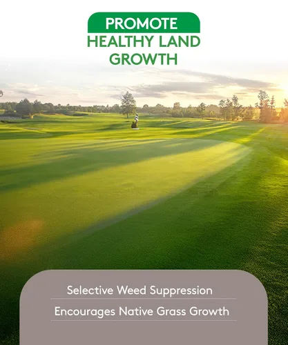 Miniatura 5 de ALLIGARE Herbicida panorámico 2SL herbicida herbicida - Versátil herbicida Imazapyr para un control duradero de pastos anuales y malezas de hoja