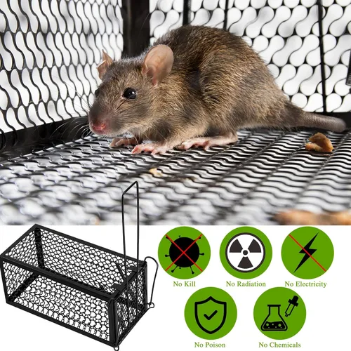 Miniatura 5 de Qualirey 1 Pieza Trampa Humana para Ratas Ardilla Listada Roedor Ratón Ardilla Trampa de 9.1 x 4.5 x 4.5 Pulgadas Animales Vivos Ratón Topillos